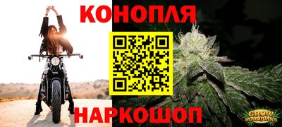 дживик Заводоуковск