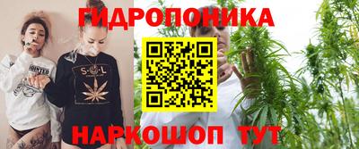 дживик Заводоуковск