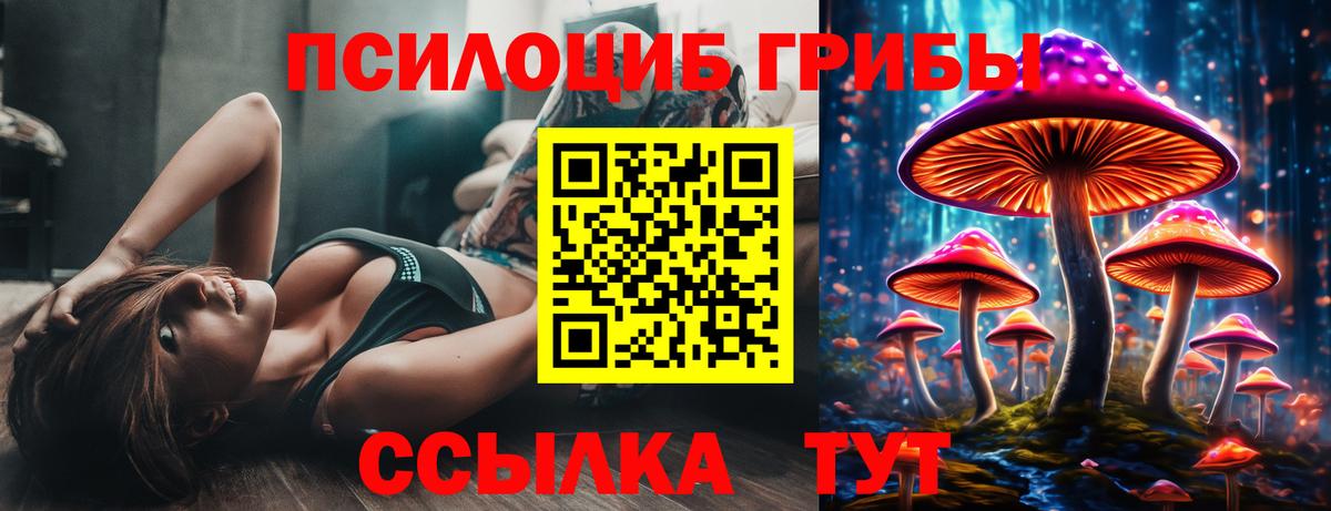 Псилоцибиновые грибы MAGIC MUSHROOMS  Вход с VPN  Майский  Галлюциногенные грибы Cubensis 