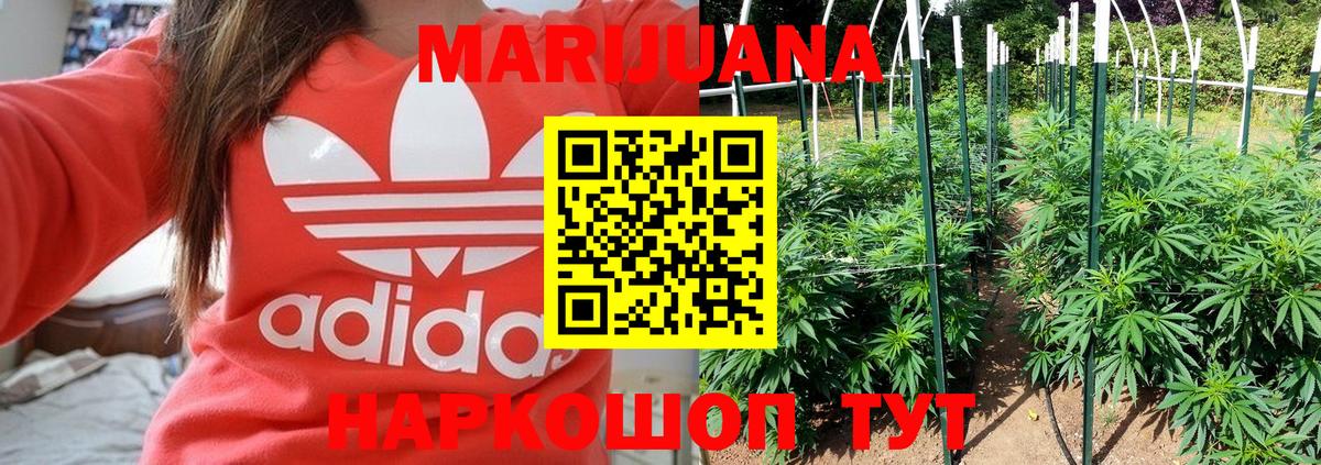 Бошки Шишки семена  Марихуана план  Конопля THC 21%  Вход с VPN  Бошки марихуана OG Kush  Майский 